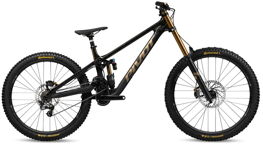 Pivot Phoenix v5