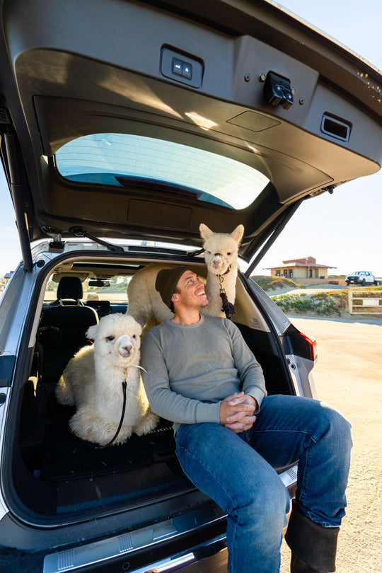Db Ramverk Cinch Top Camera Insert S Chris Burkard
