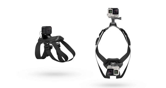 GoPro Fetch, The Dog Mount
