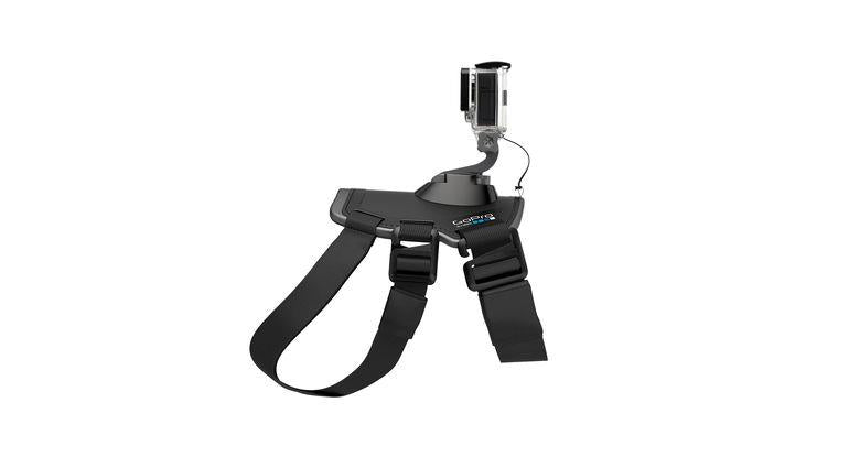 GoPro Fetch, The Dog Mount