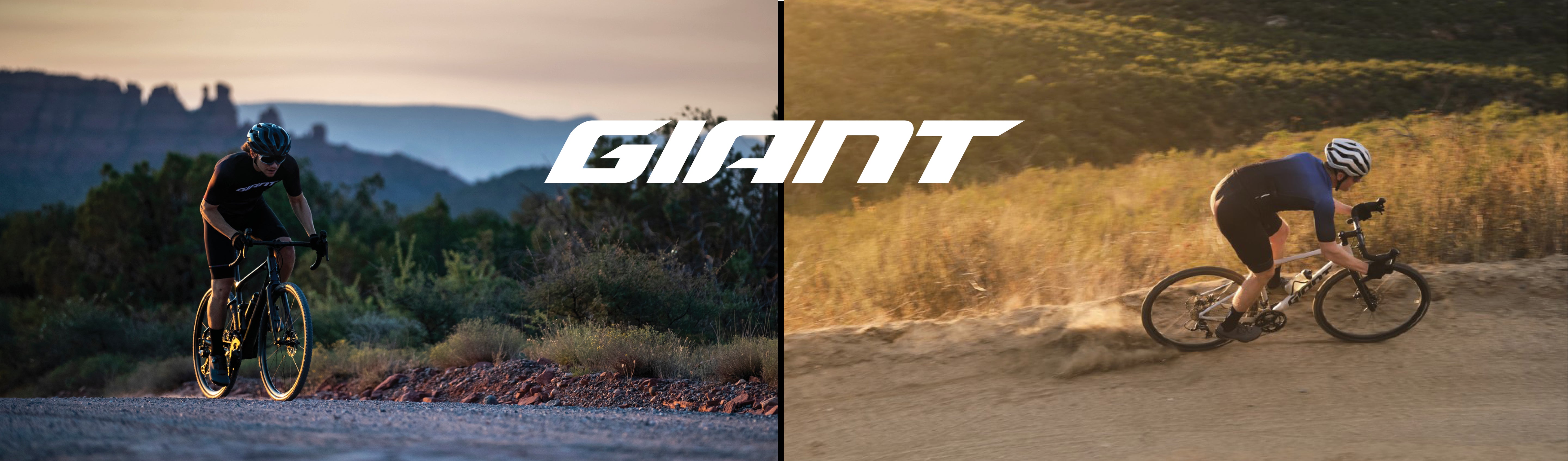 Giant Gravel/Cyclocross