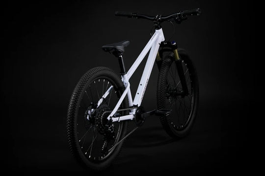 Norco Charger 24