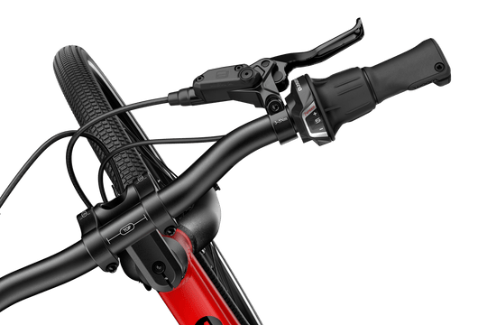 Woom Explore 4 - 20"