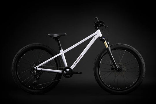 Norco Charger 24