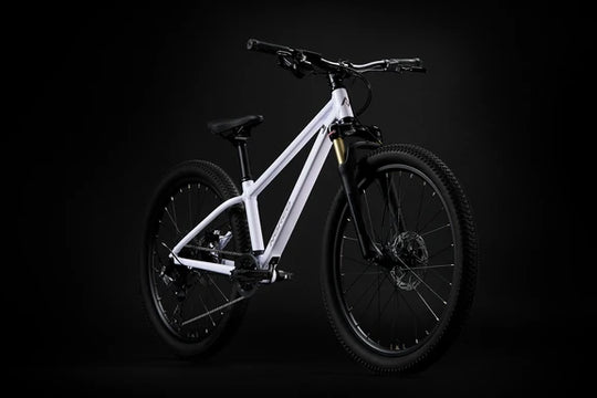 Norco Charger 24