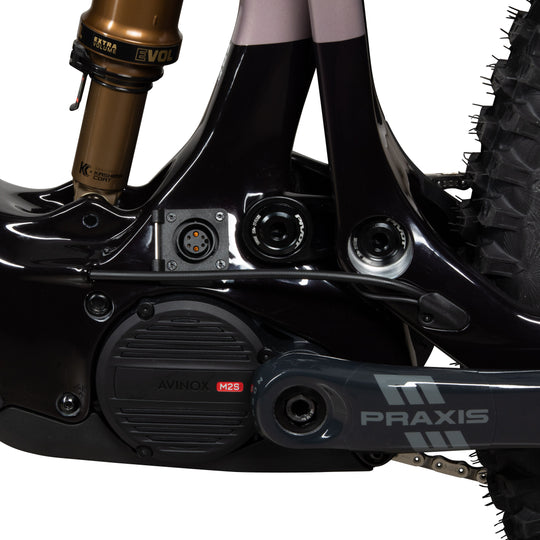 Pivot Shuttle AMP'd Team