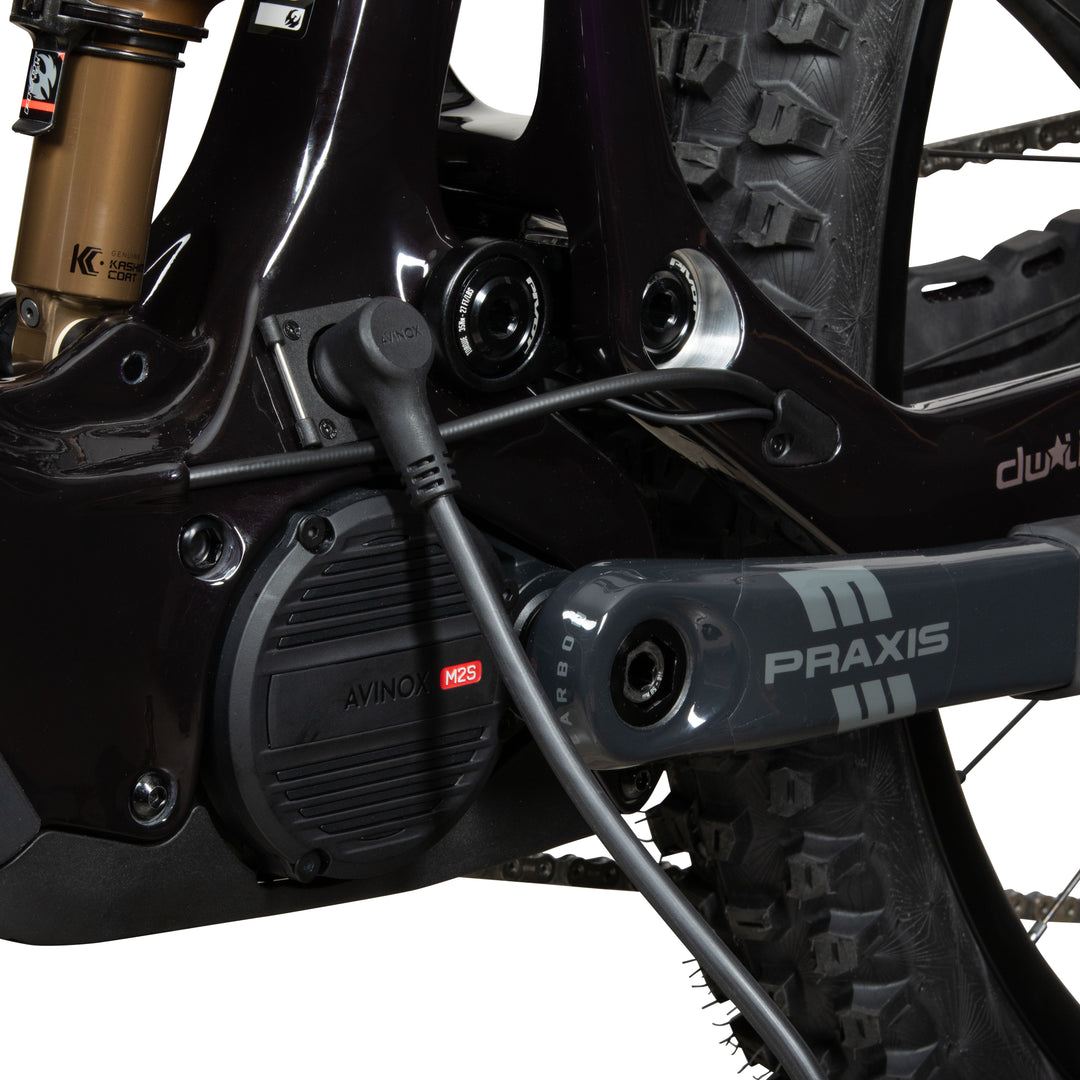 Pivot Shuttle AMP'd Team