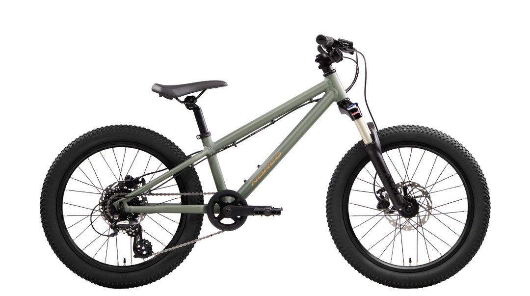 Norco Charger 20