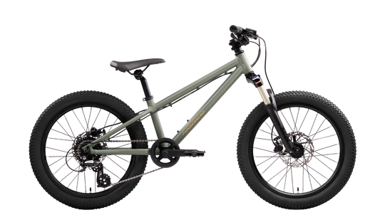 Norco Charger 20