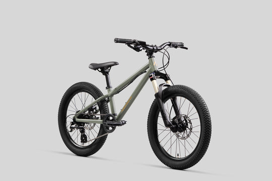 Norco Charger 20