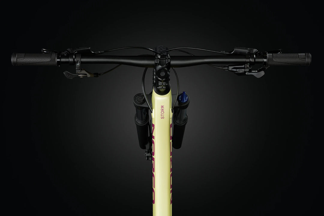 Norco Storm 120