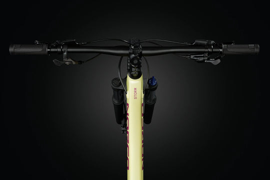 Norco Storm 120