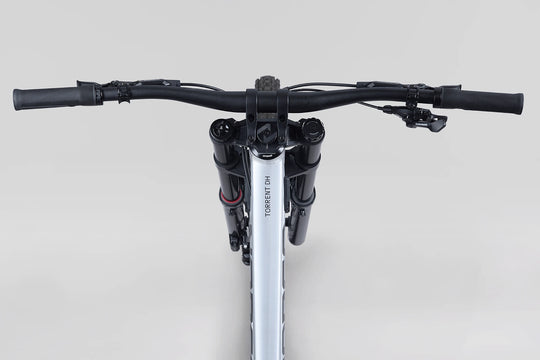 Norco Torrent DH A1