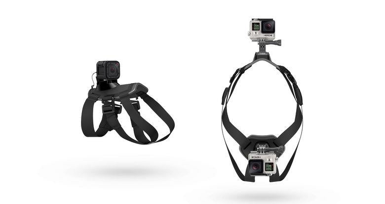 GoPro Fetch, The Dog Mount